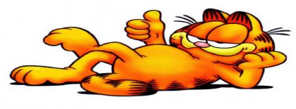 Garfield Cartoon Cover Facebook Covers